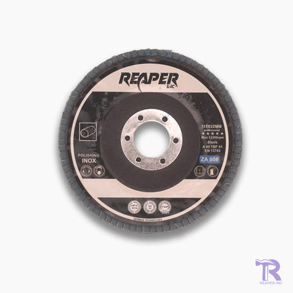 Plain Flap Discs