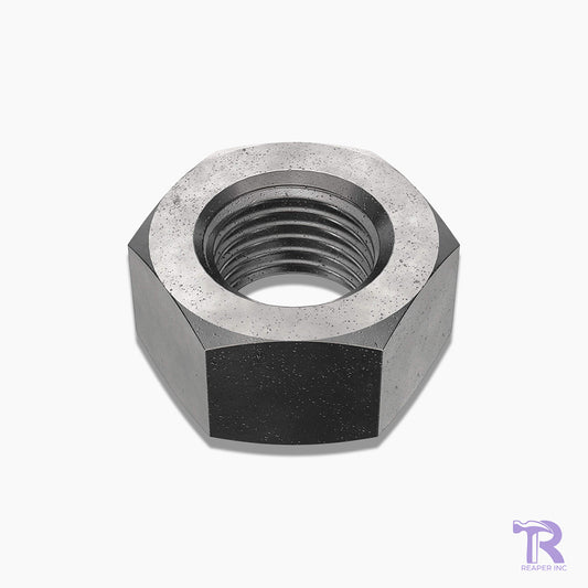 Plain Hex Nuts