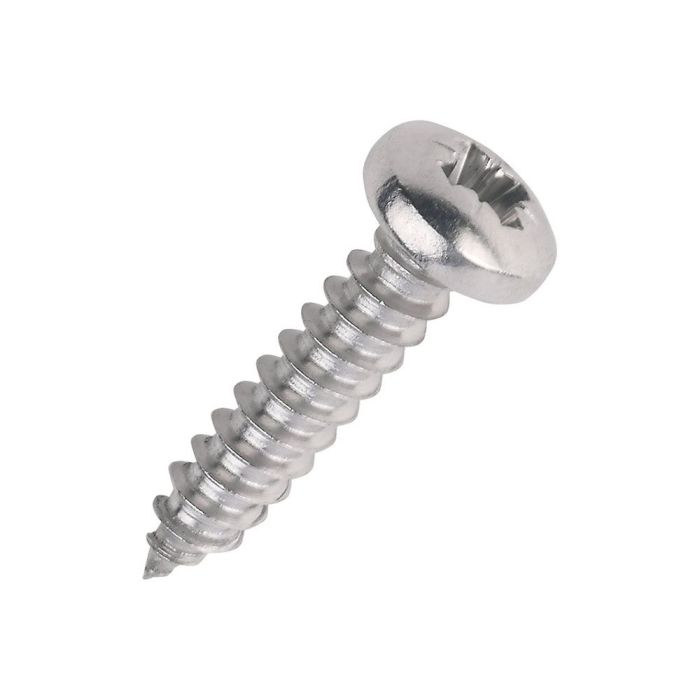 Number Plate Screws