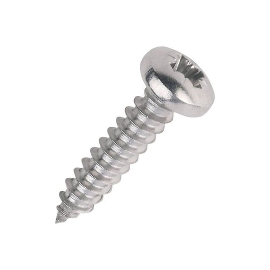 Number Plate Screws